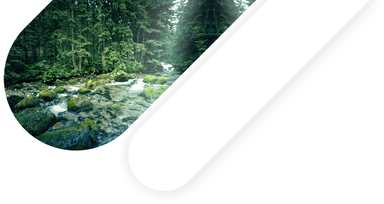 bg-bolletta-digitale.png